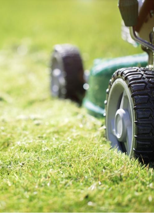 <p>Keep Your Lawn Neat and Tidy</p>