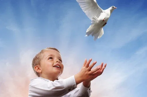 Image for <p>BIRTHDAY DOVE RELEASE</p> service