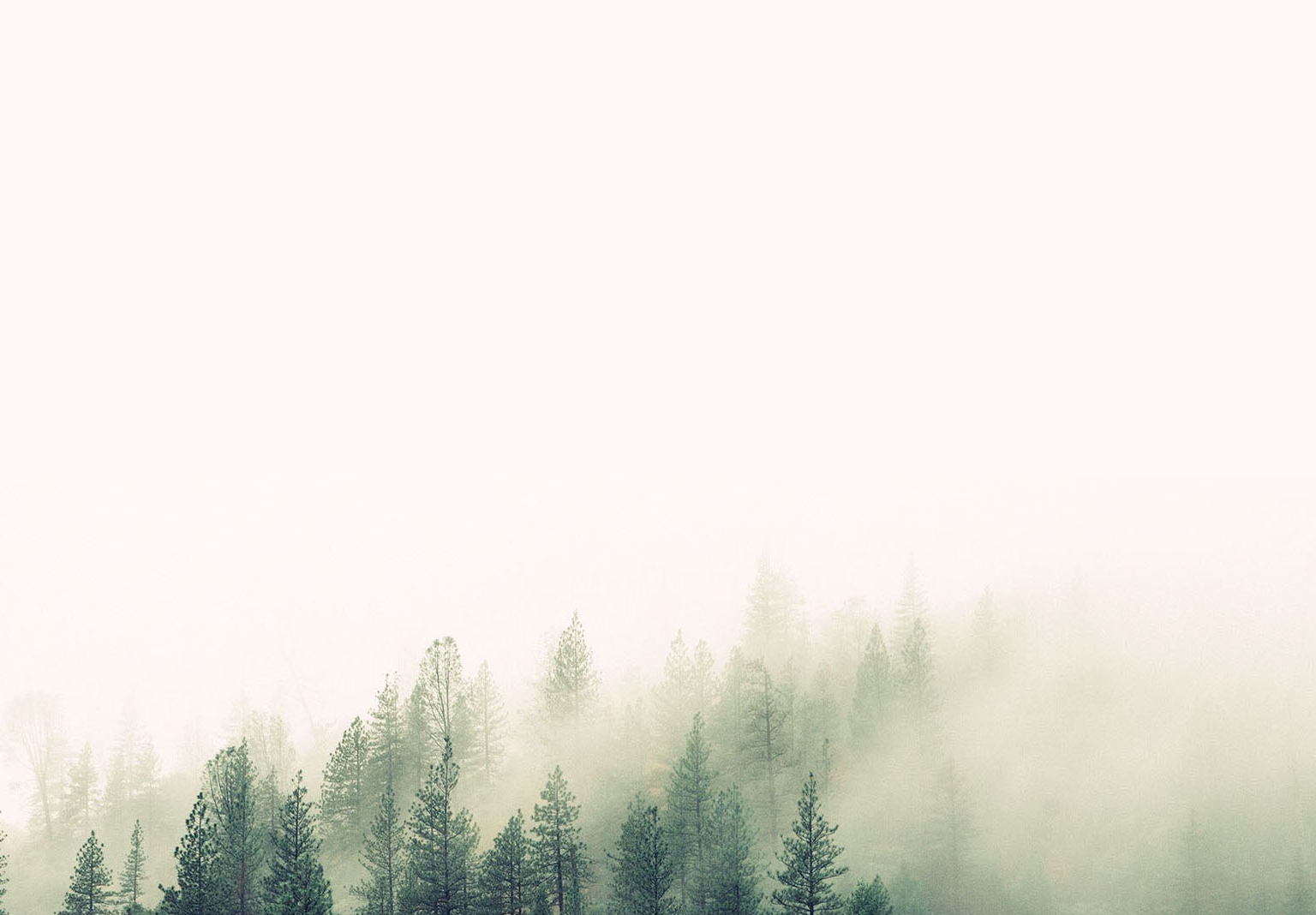 Section background image