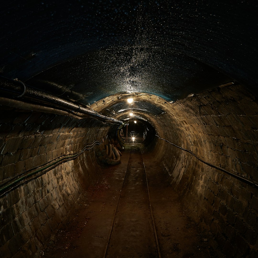 Section background image