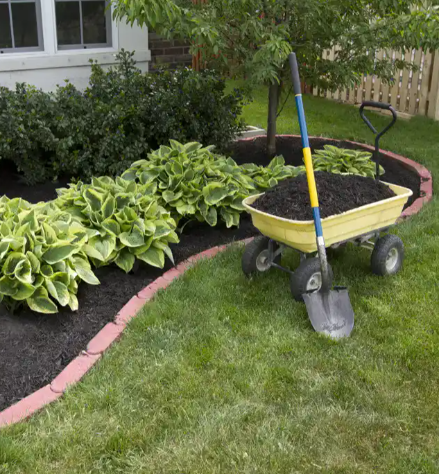 <p>3 Great Reasons to Choose Commercial Lawn Care</p>