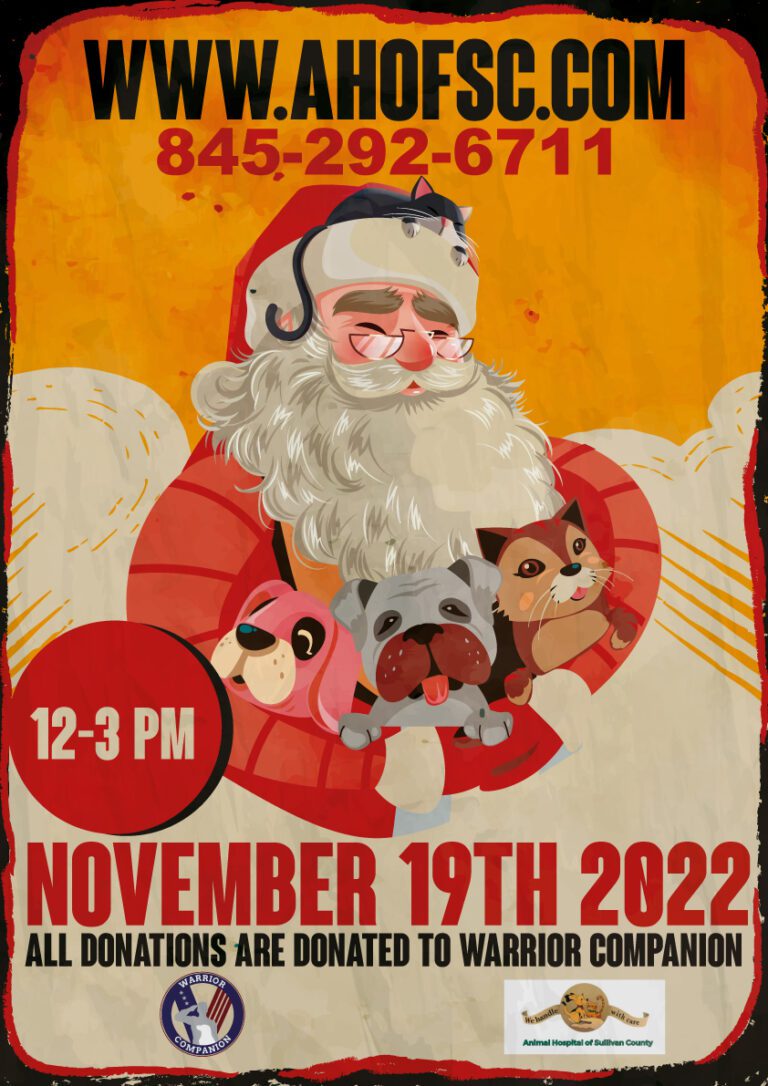 Photos With Santa