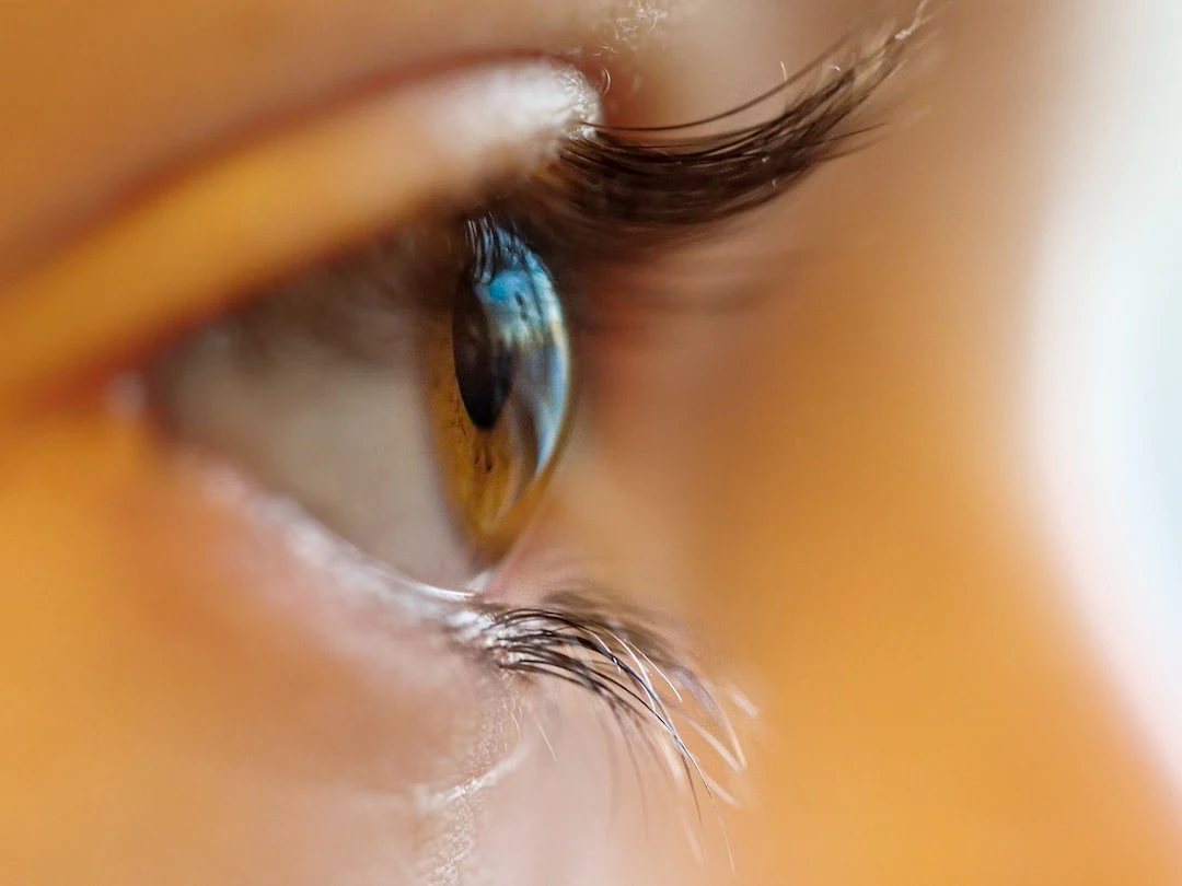Order Contacts Online