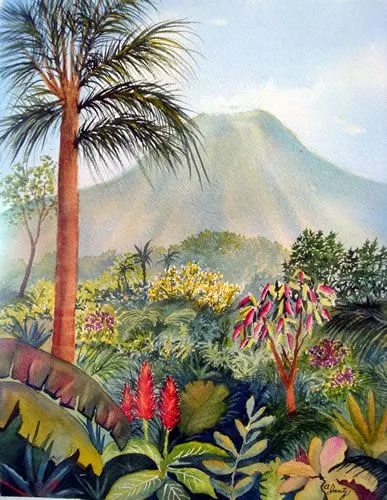 <p>TROPICAL WONDERS</p><p><br></p>