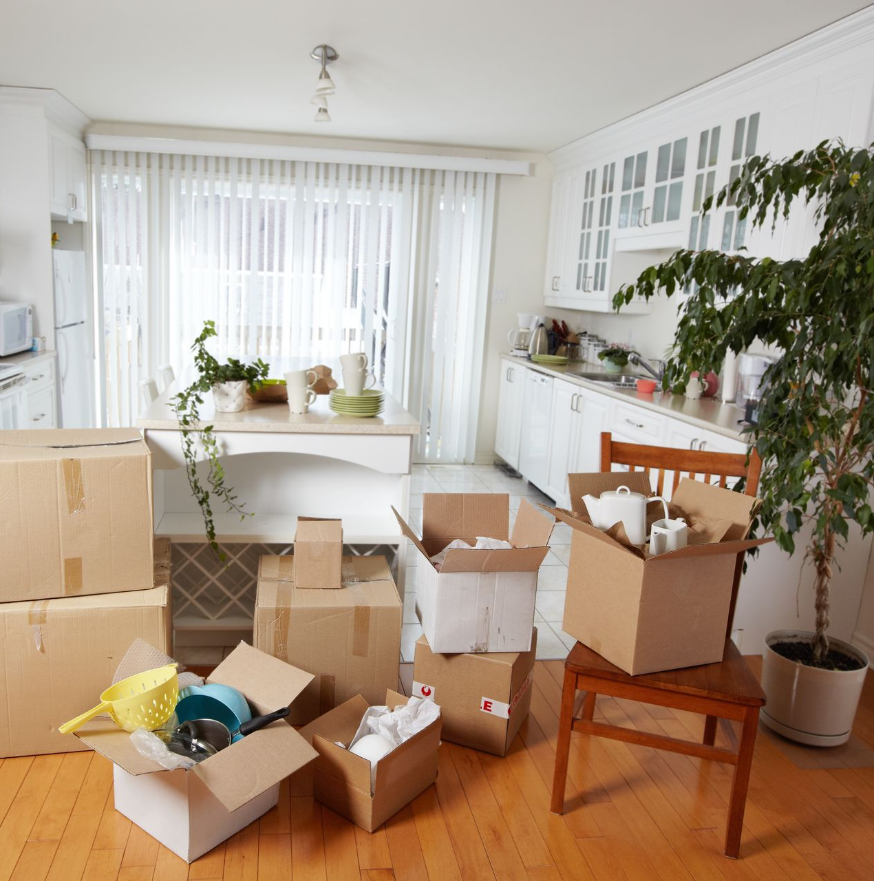 <p>TOP FEATURES OF OUR MOVING SERVICES</p>