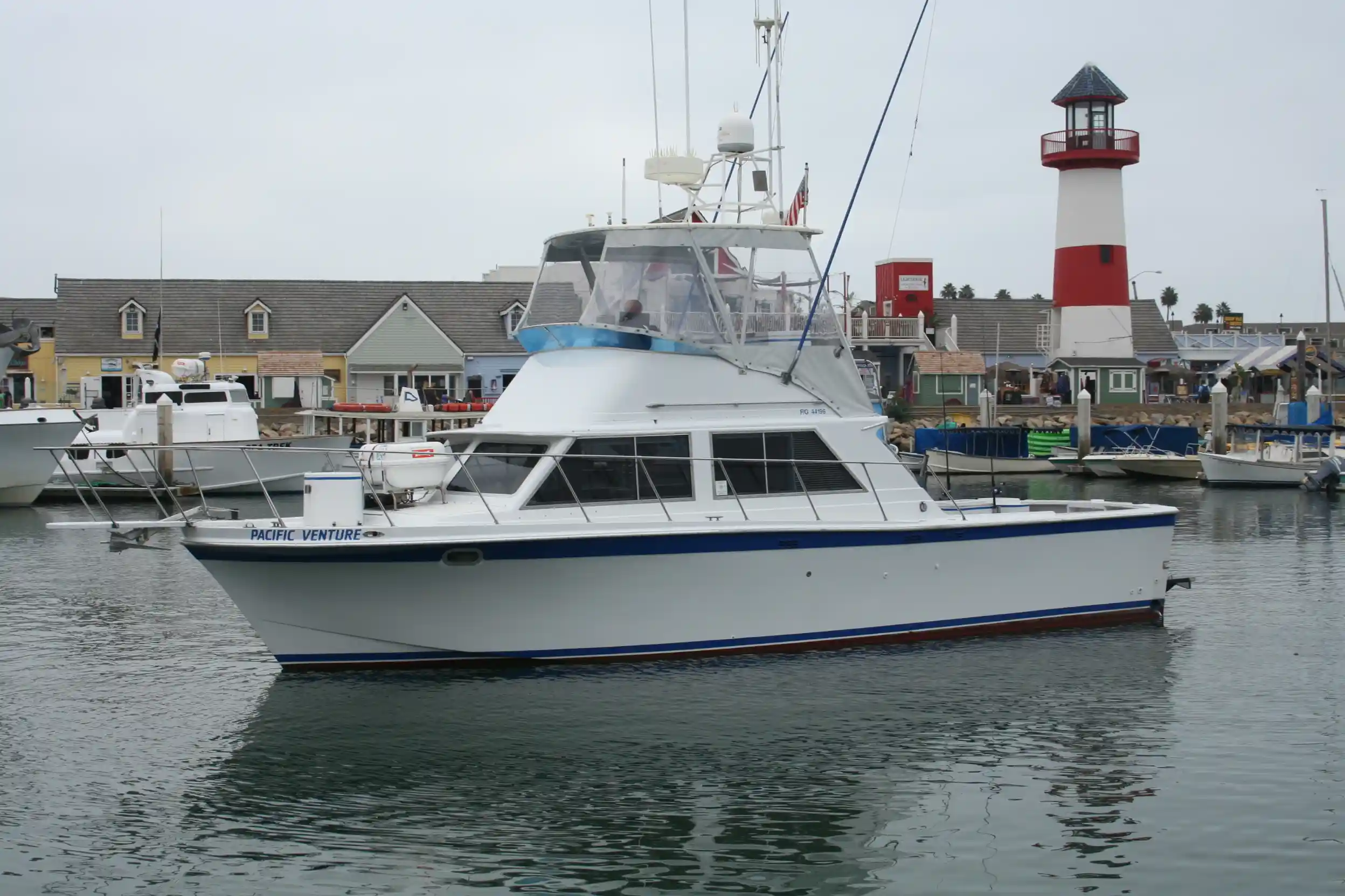 CHARTER SERVICES