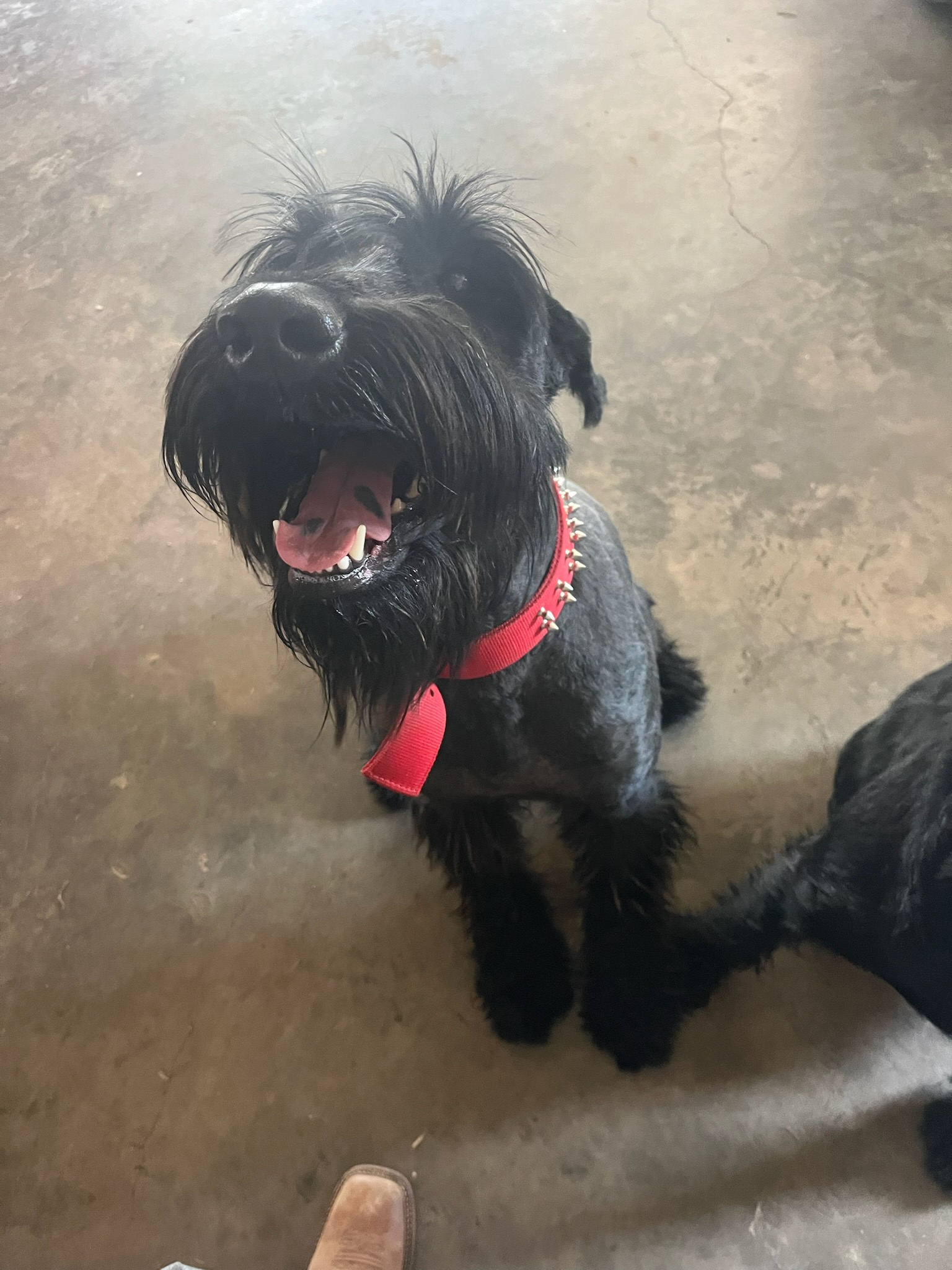 <p class="ql-align-center"><span style="color: rgb(0, 0, 0);">Sir Chief Eisenhower Tuff</span></p>