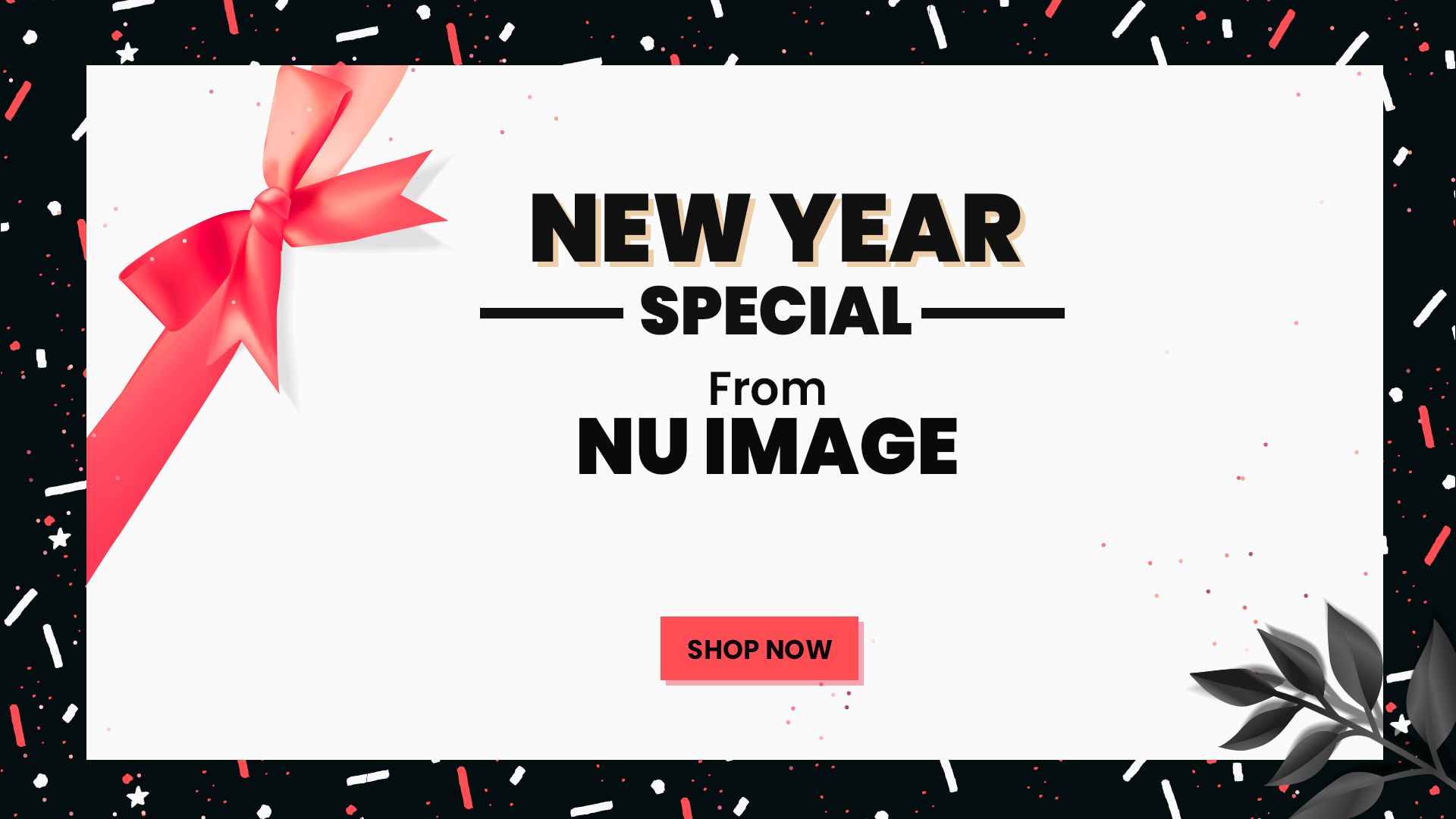 Give the Gift of a Showroom Shine!