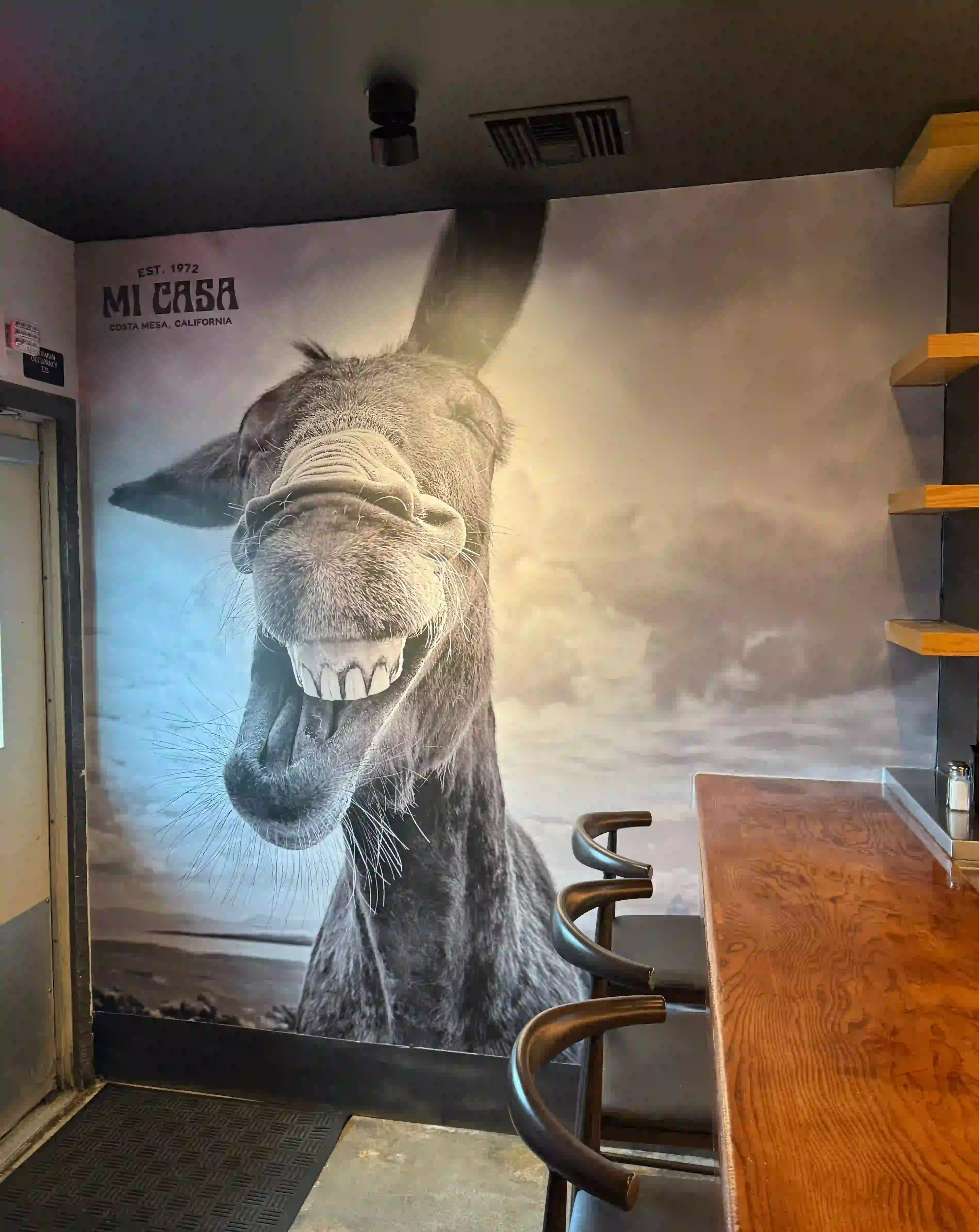 MEET OUR MI CASA FAMILY