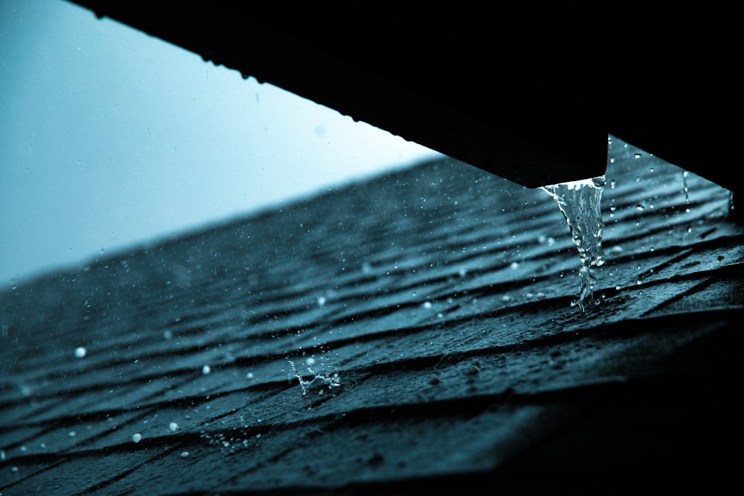 <p>Certified TAMKO Installer – StormFLEX™ Shingles</p><p><br></p>