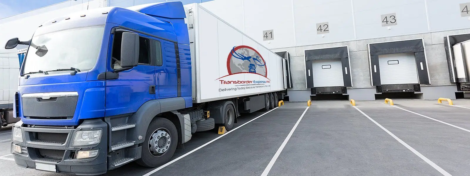 Section background image