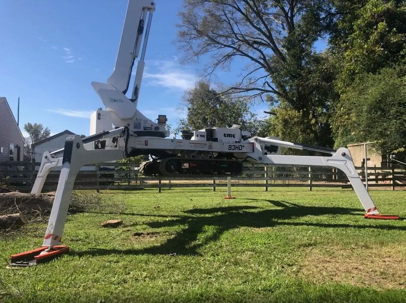 <p><strong style="color: rgb(57, 181, 74);">Take a Look at Our Recent Tree Projects</strong></p>