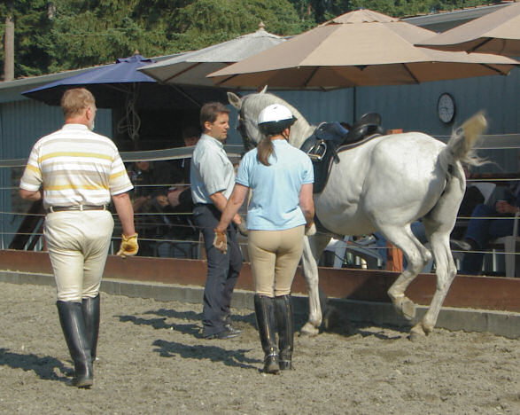 Consulting and Rehabilitation
