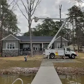 <p><strong style="color: rgb(57, 181, 74);">Take a Look at Our Recent Tree Projects</strong></p>