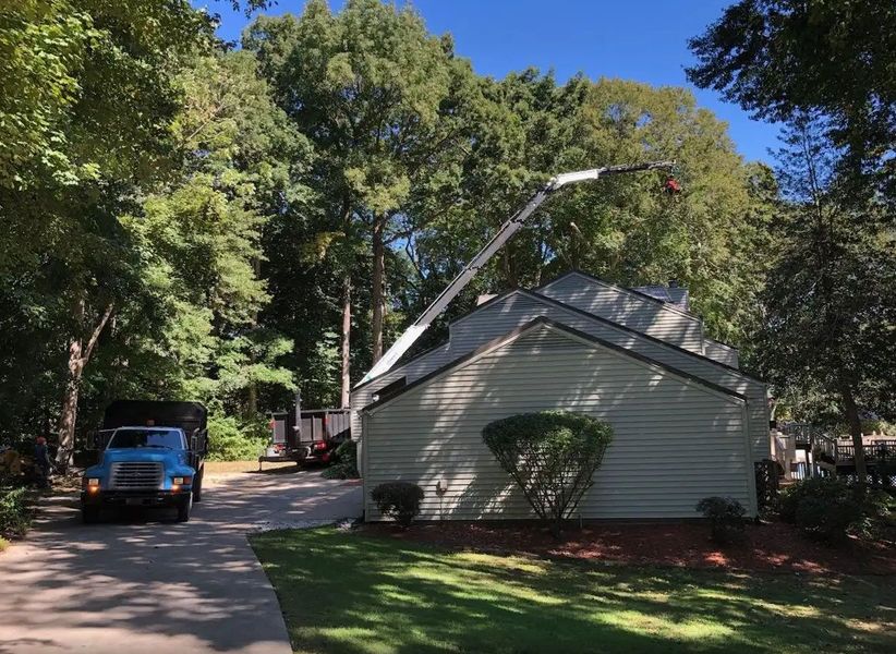 <p><strong style="color: rgb(57, 181, 74);">Take a Look at Our Recent Tree Projects</strong></p>
