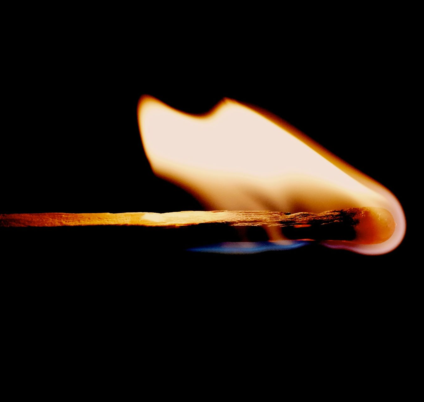 <p>The Importance of Fire Sprinkler Testing</p>