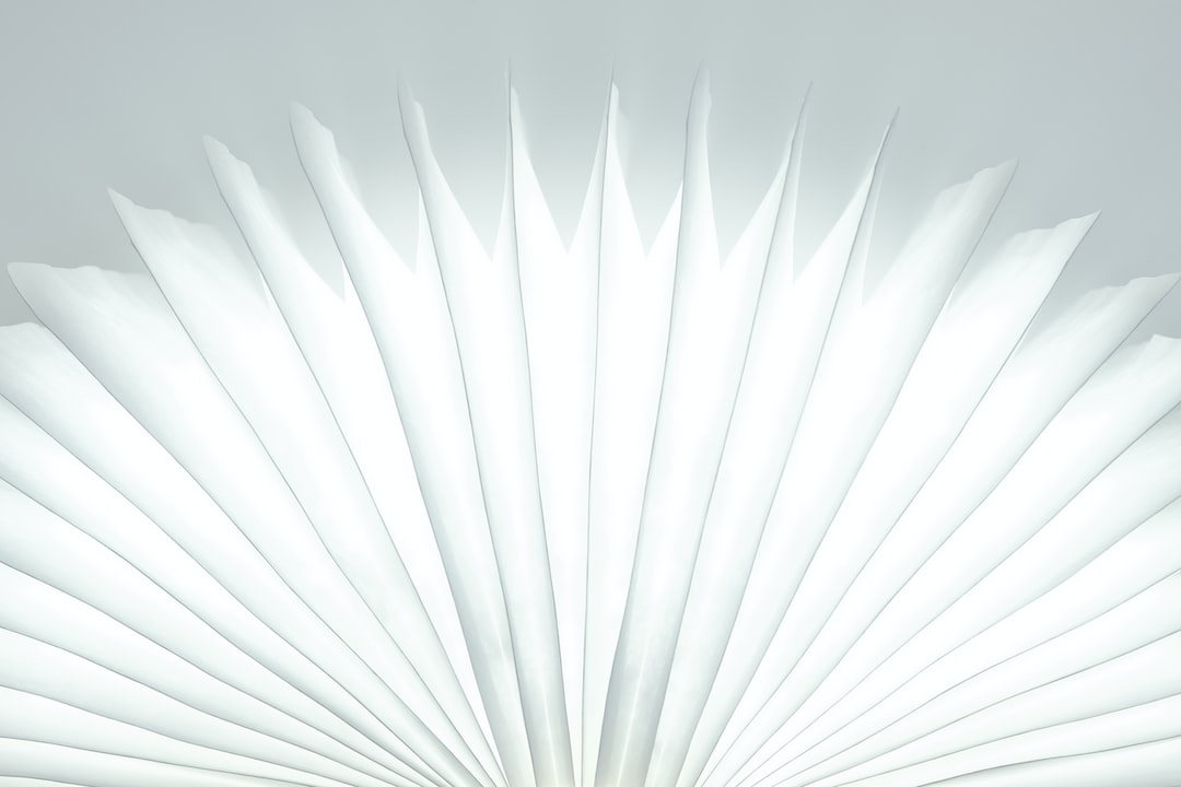 Section background image