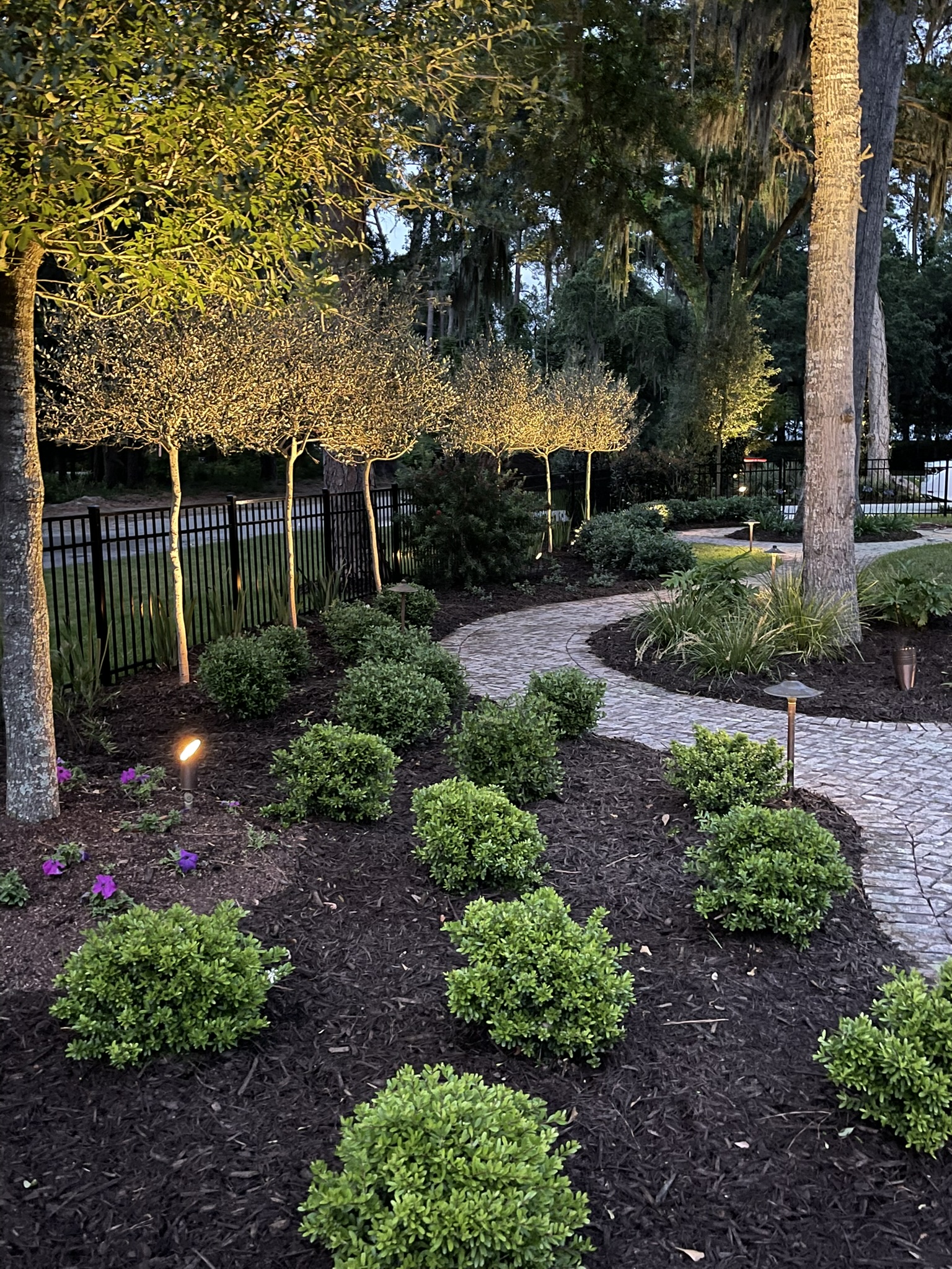 Section background image