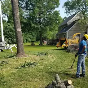 <p><strong style="color: rgb(57, 181, 74);">Take a Look at Our Recent Tree Projects</strong></p>