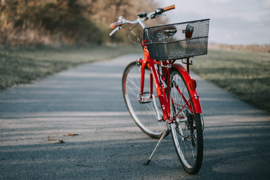 Bike Rentals
