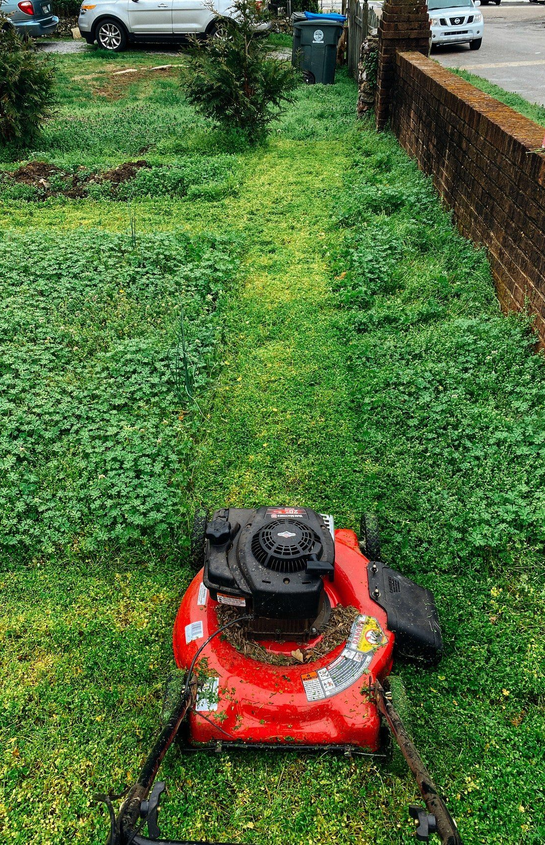 Keep Your Commercial Property Looking Its Best