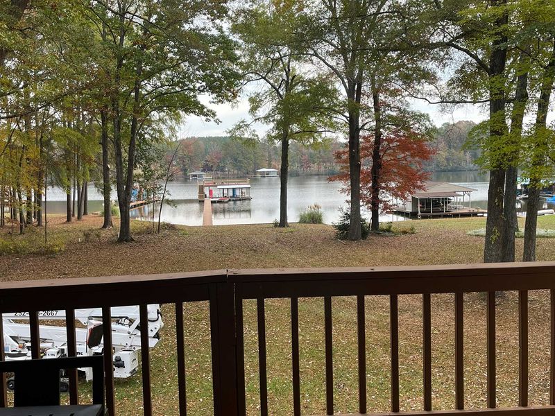 <p><strong style="color: rgb(57, 181, 74);">Take a Look at Our Recent Tree Projects</strong></p>