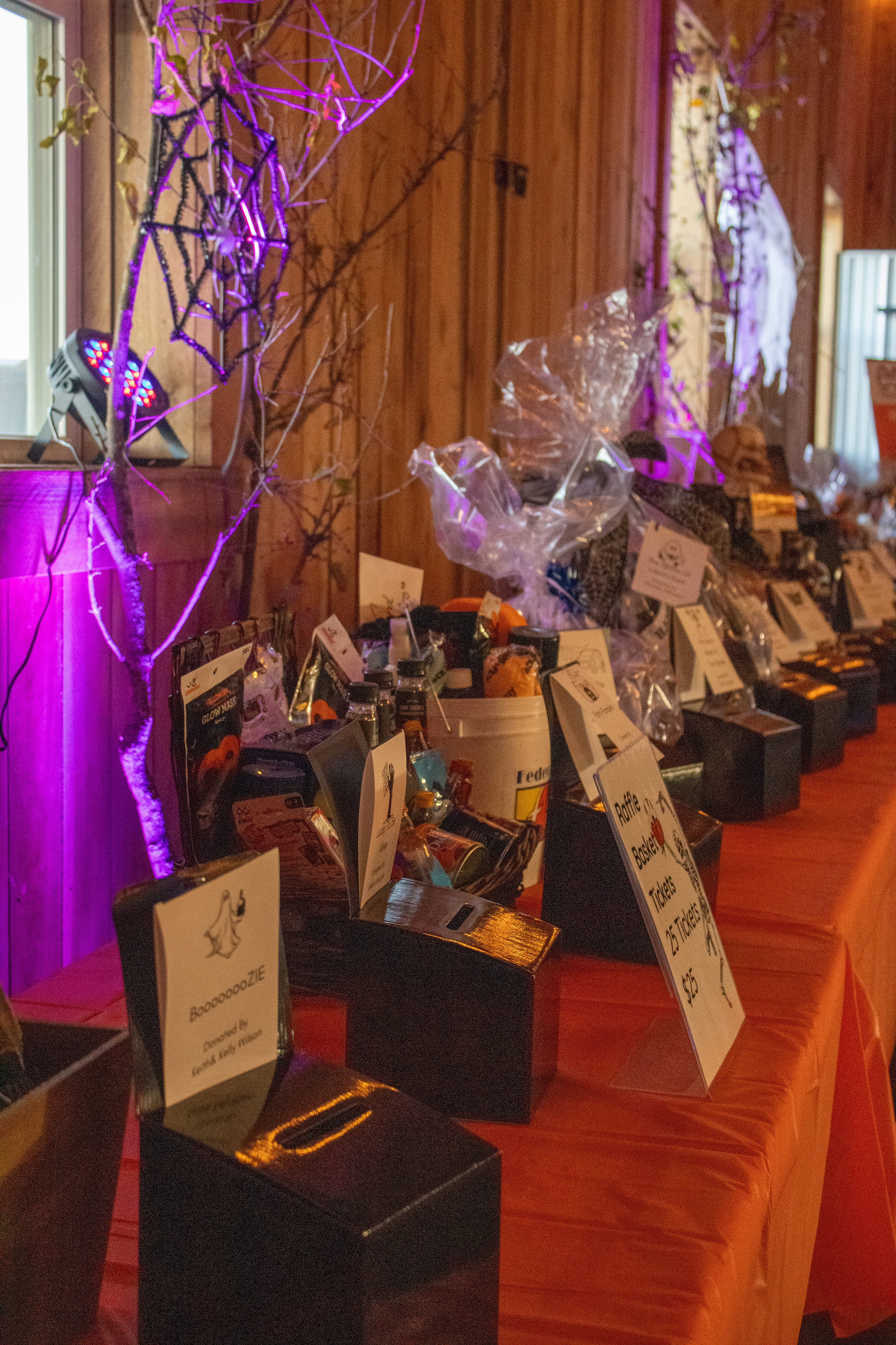 <p><span style="color: rgb(116, 1, 114);">2024 Spooky in the Sticks Fundraiser Event</span></p>