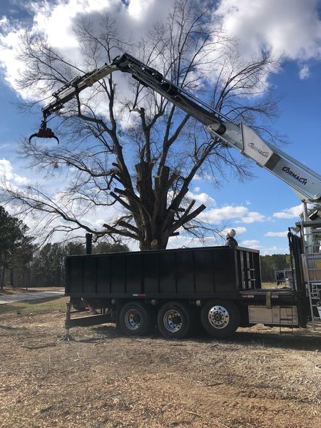 <p><strong style="color: rgb(57, 181, 74);">Take a Look at Our Recent Tree Projects</strong></p>