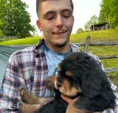 <p>A Faithful guardian, who is committed and loyal to their owners and families, the Tibetan Mastiff has, for centuries, been a prized possession amongst not only the people of Tibet, but spread throughout the region of the world.</p>