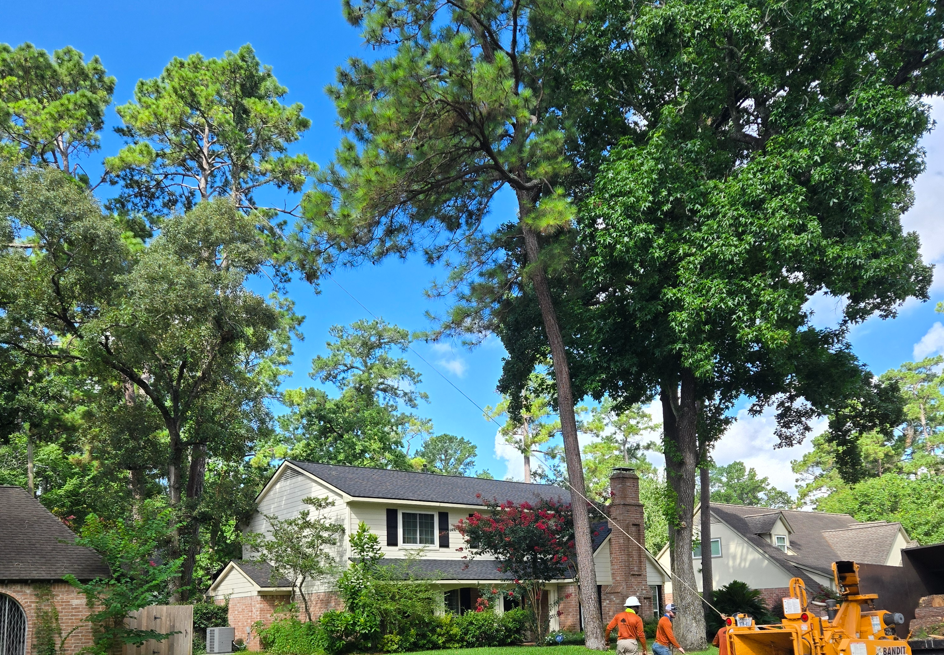 <p><span style="color: rgb(219, 178, 54);">Emergency</span><span style="color: rgb(245, 92, 0);"> </span>Tree Removal</p>