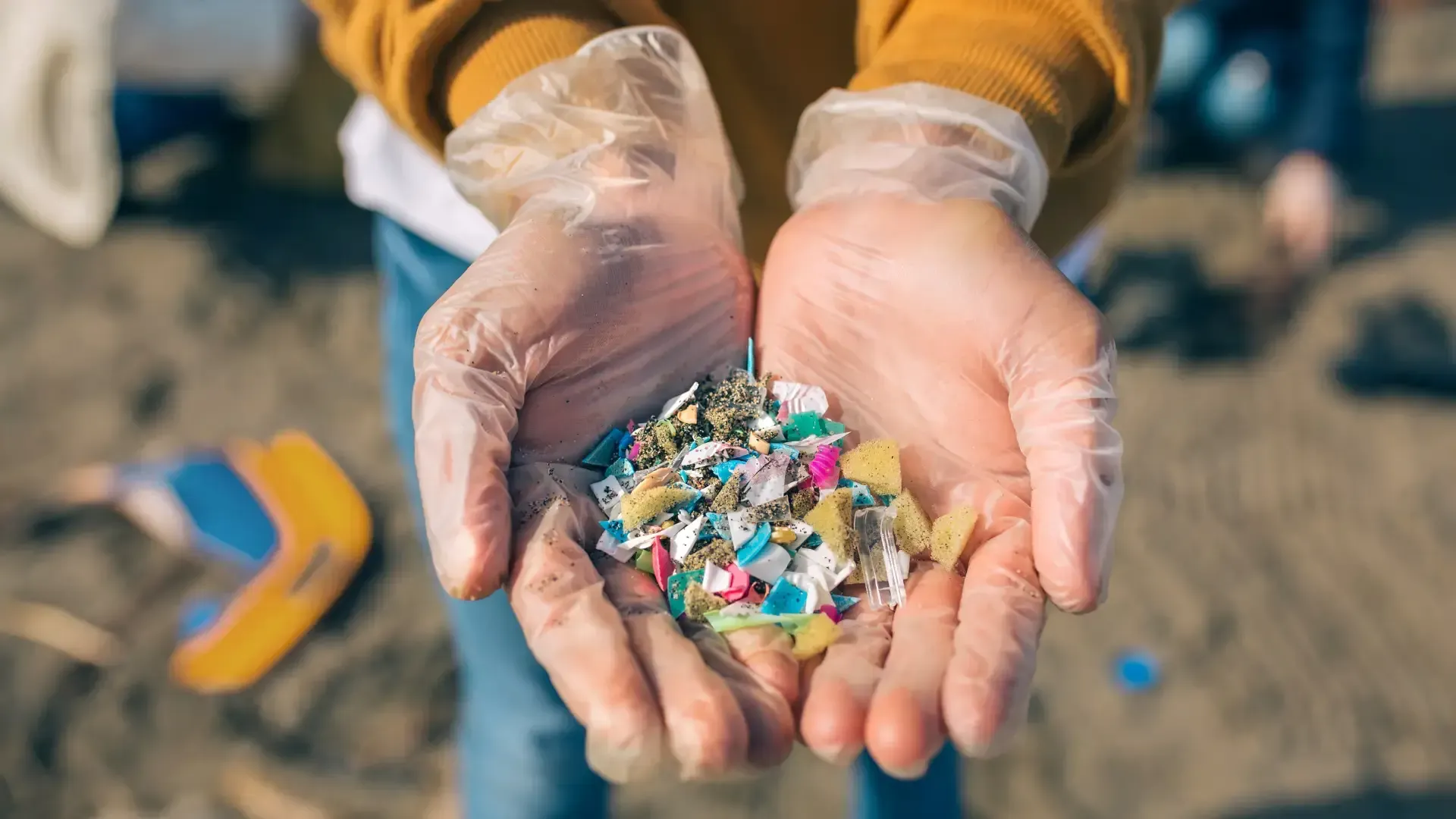 <p><span style="color: rgb(33, 33, 33);">What Are Microplastics?</span></p>