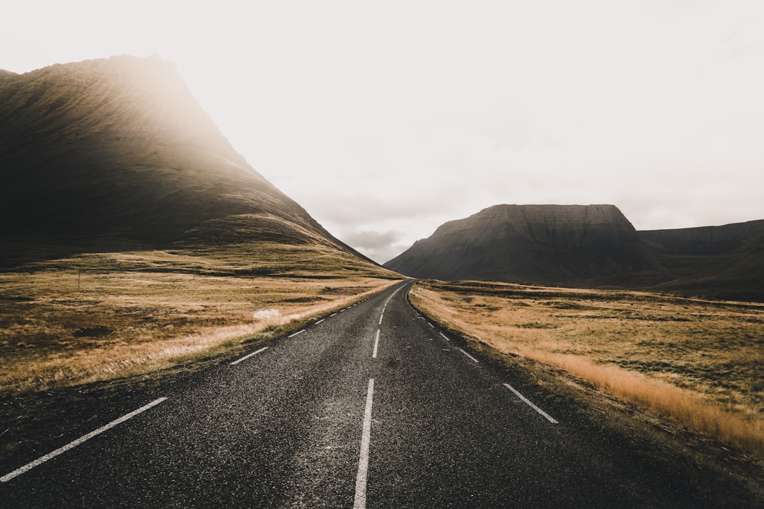 Section background image
