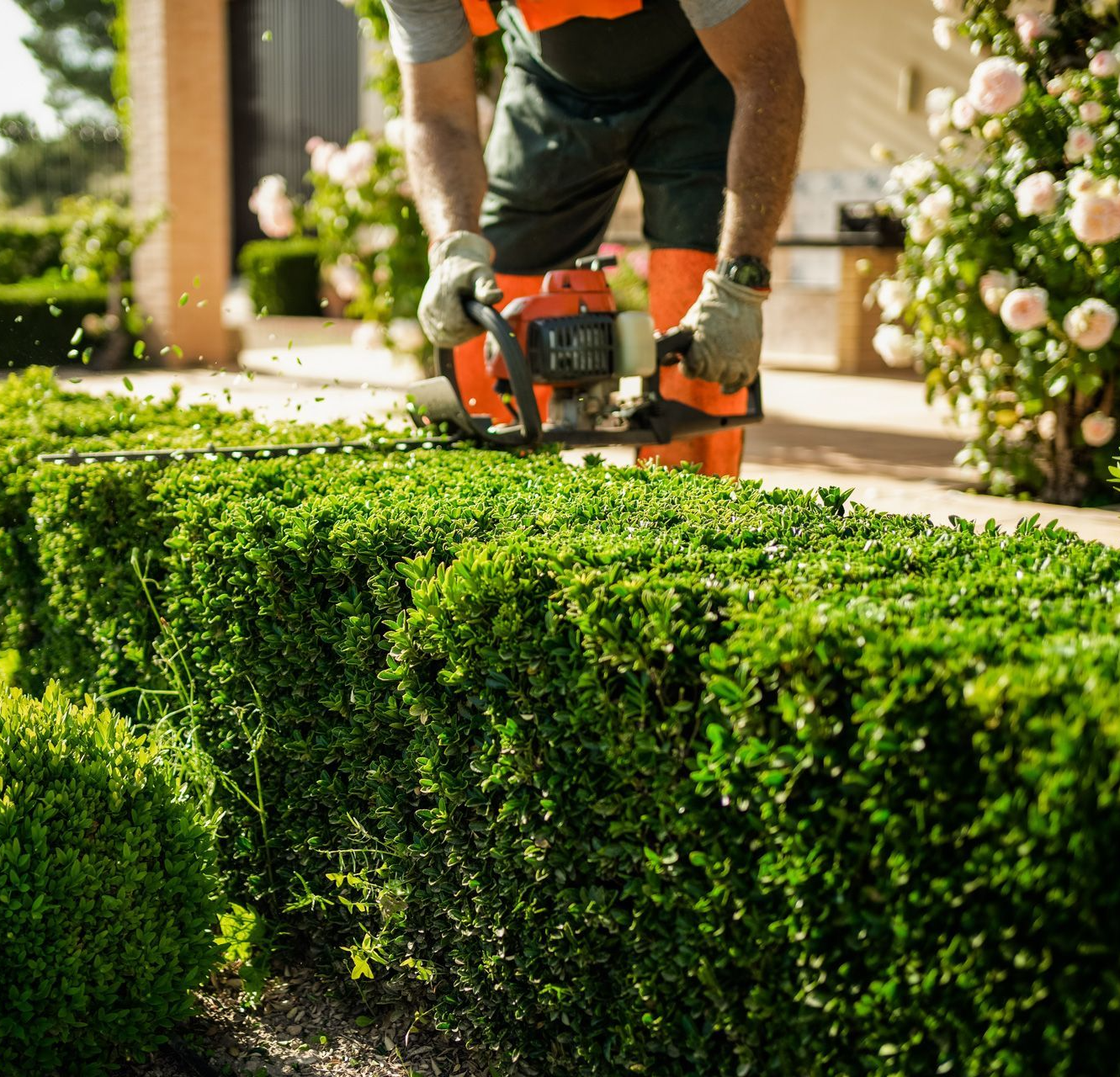 <p><span style="color: rgb(251, 101, 5);">Welcome to Florida Power Washing's Landscaping Services!</span></p>