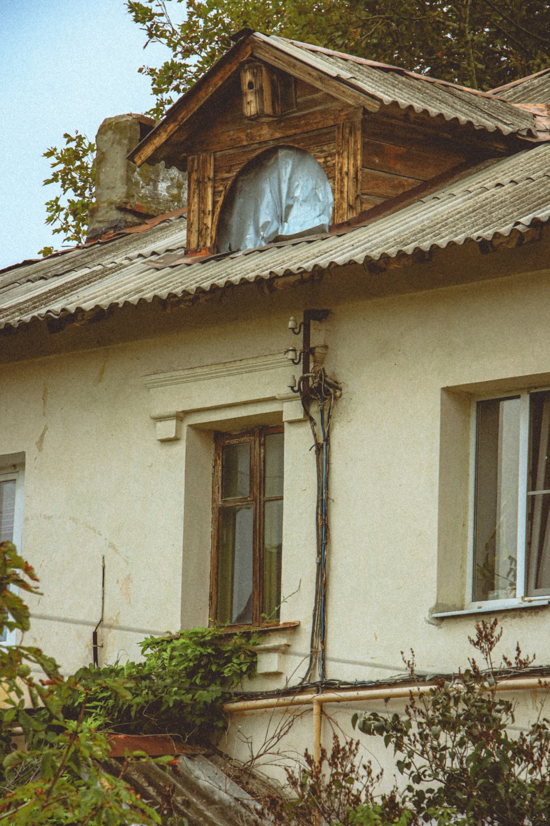 Section background image