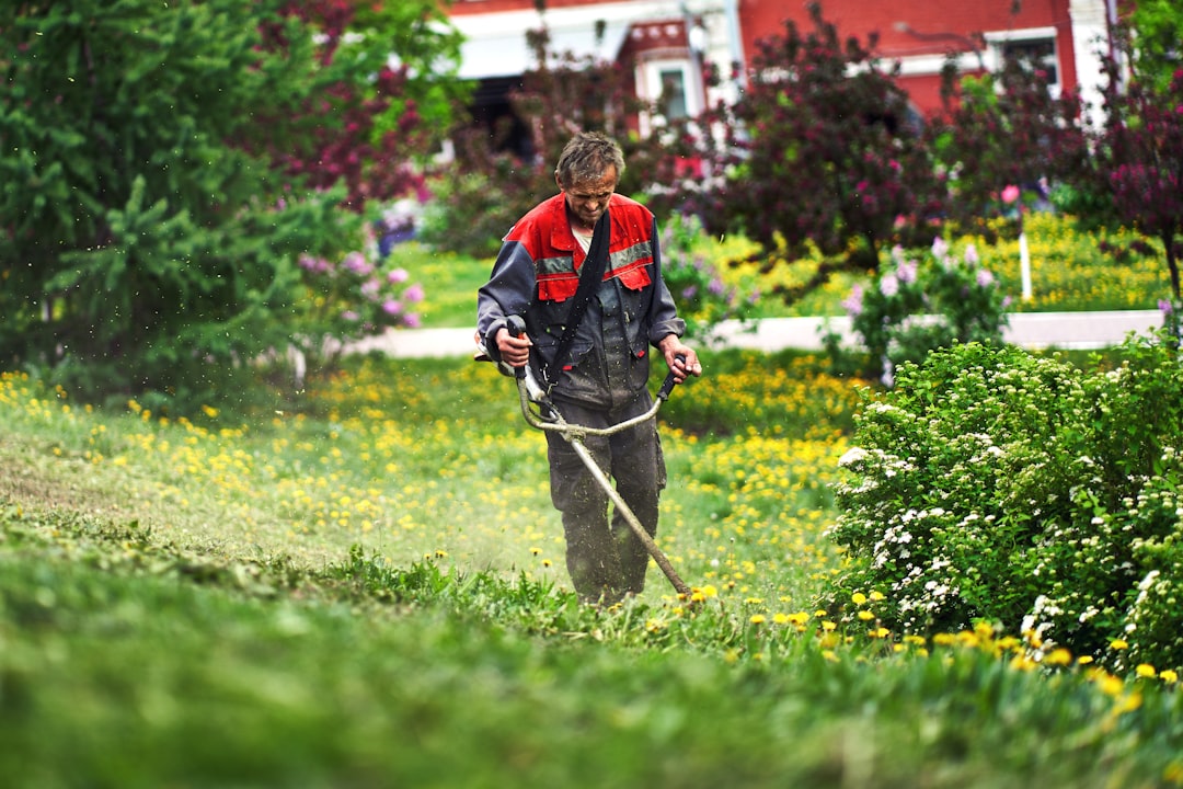 <p><span style="color: rgb(193, 31, 27);">Lawn Maintenance by Trusted Experts</span></p>