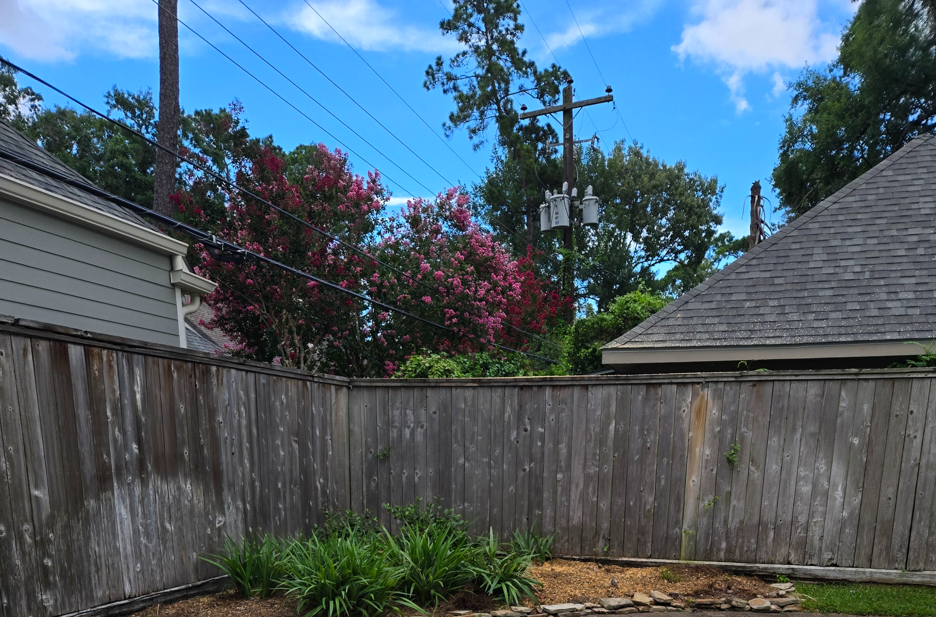 <p><span style="color: rgb(219, 178, 54);">Tree </span>Pruning</p>