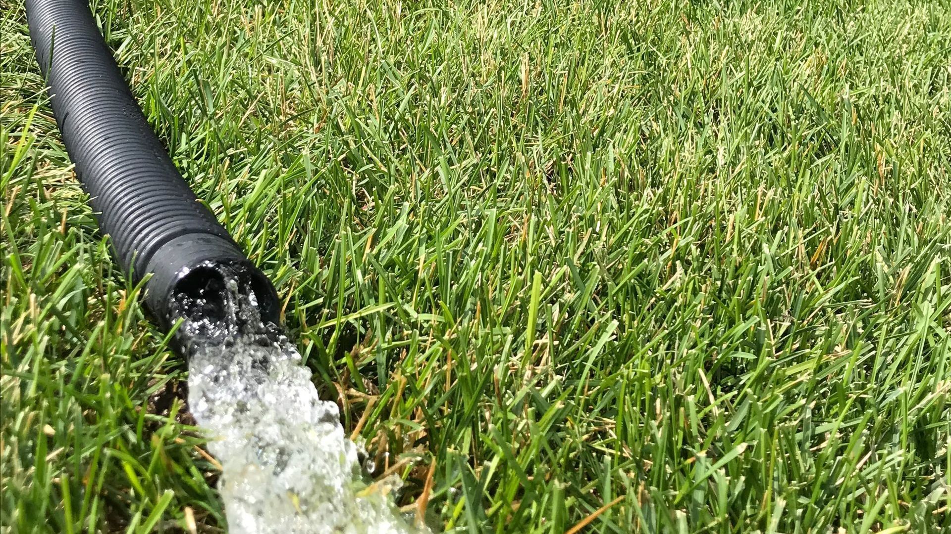 Section background image