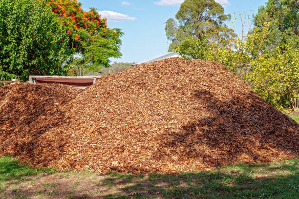 <p>MULCH PICKUP</p>