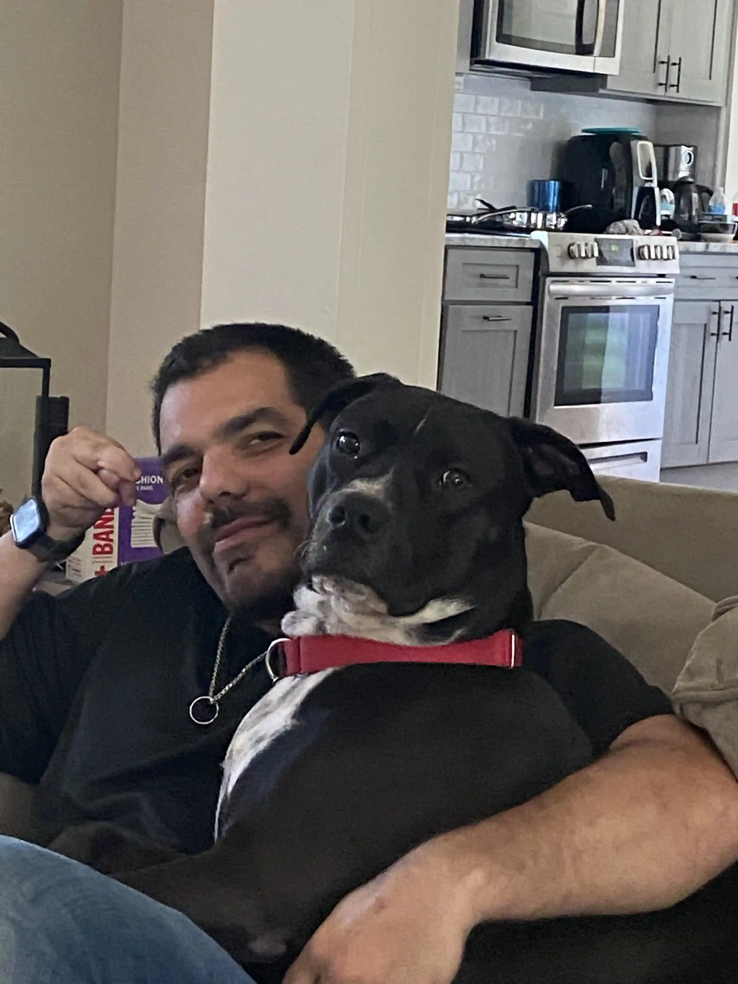 A man with dark hair and a beard is seen sitting on a beige couch, holding a black dog with white chest markings and a vibrant red collar. The man is wearing a black t-shirt and a silver chain necklace, looking towards the camera with a slight smile. The dog is positioned in the foreground, looking directly at the camera. The background shows a modern kitchen with grey cabinetry, a white tile backsplash, and stainless steel appliances including a stove and microwave. The overall mood of the image is warm, domestic, and candid.