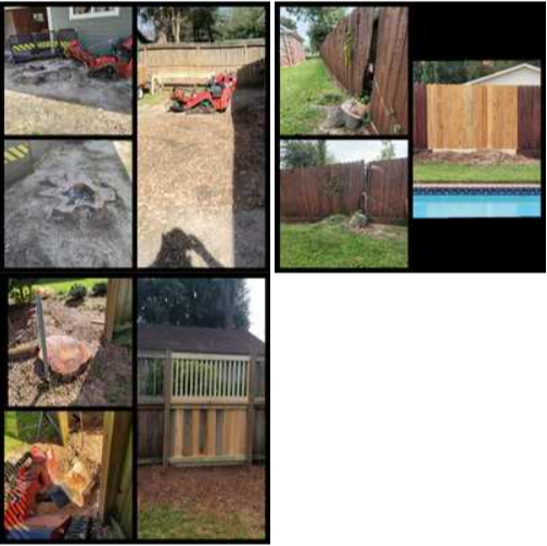 <p><span style="color: rgb(219, 178, 54);">Speedy Consultations</span> with Tree Stump Grinders</p>