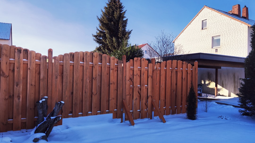Fences 