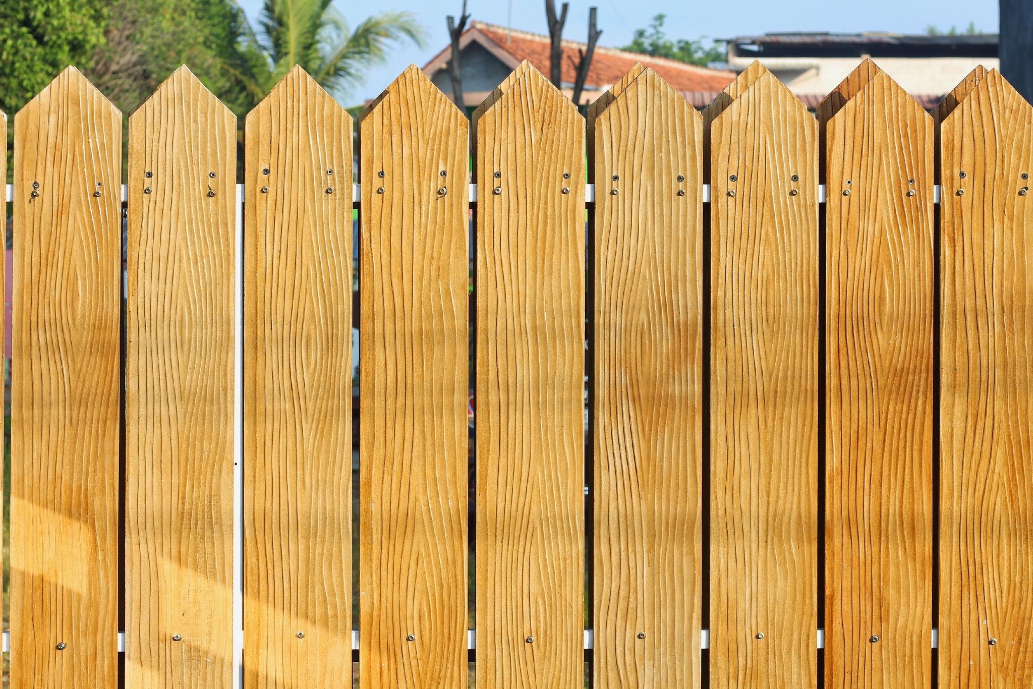 Section background image