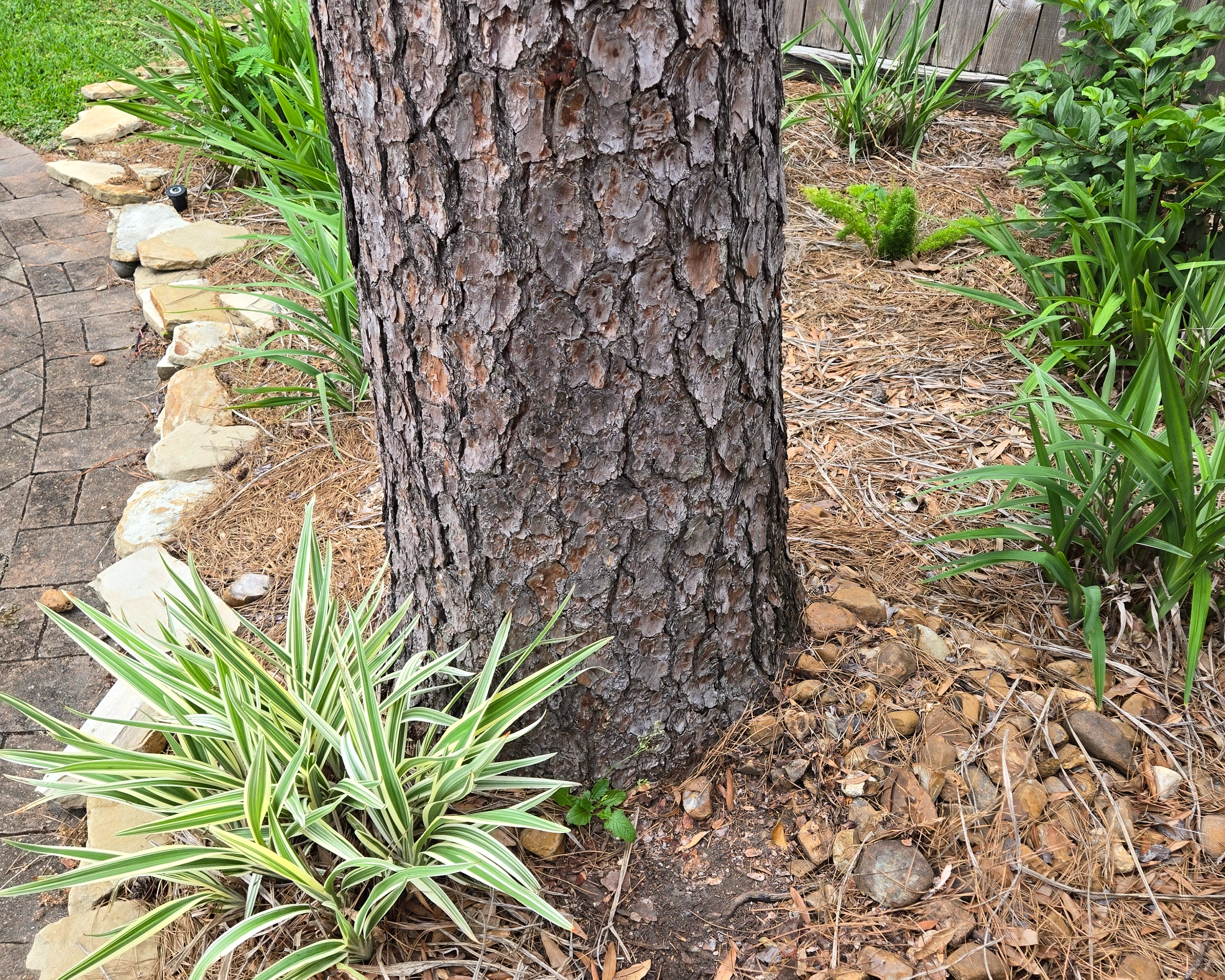 <p><span style="color: rgb(219, 178, 54);">Power </span>Washing</p>