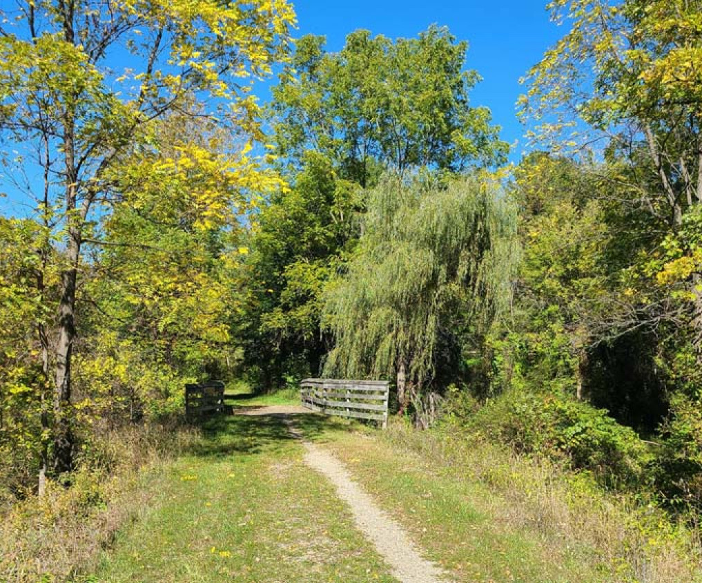 <p><span>Support Your Local Trail</span></p>