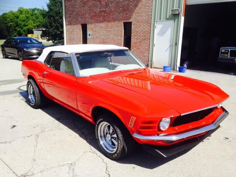 Section background image