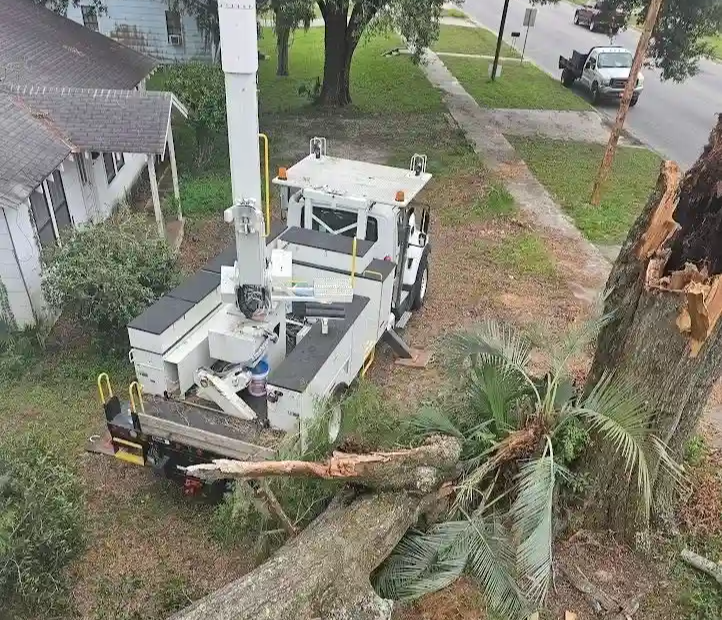 <p><span style="color: rgb(245, 179, 0);">Debris Removal and Haul-Away</span></p>