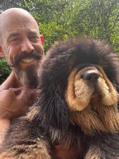 <p>After years of studying the feeding, the care, and the training necessary to rear and raise this magnificent breed we are both enthralled and excited to offer the world's finest Tibetan Mastiff puppies to approved homes. We take care in selecting the families that will be lucky enough to own one of these magnificent dogs.</p>