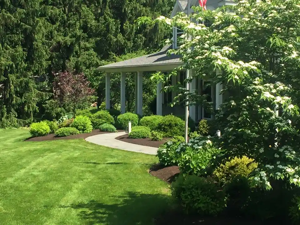 Lawn Maintenance