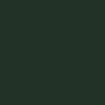 <p><span>FOREST</span></p>
