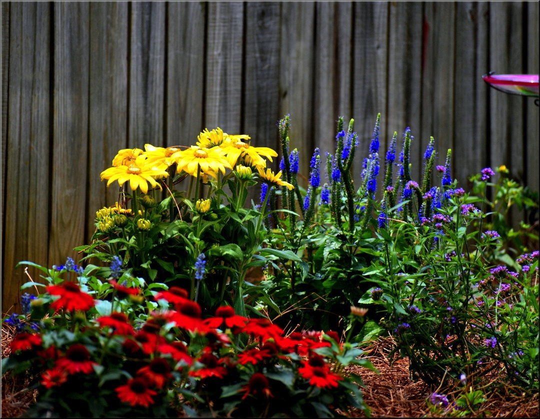 Section background image